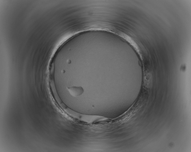 X0000097911096200803281357