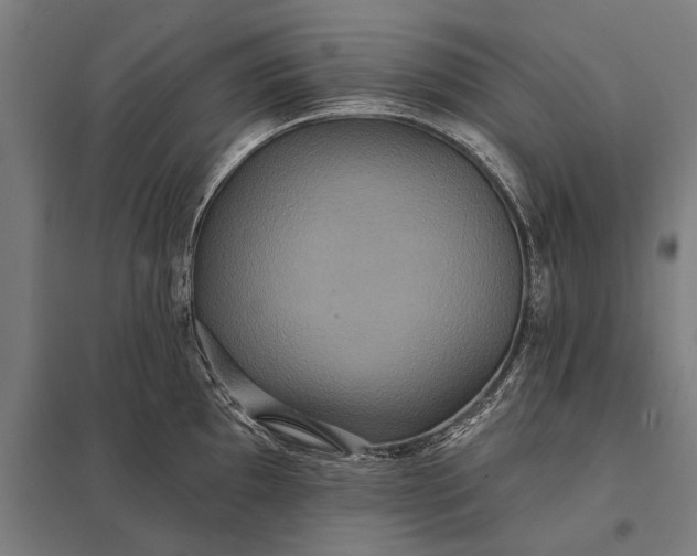 X0000097911097200803281357