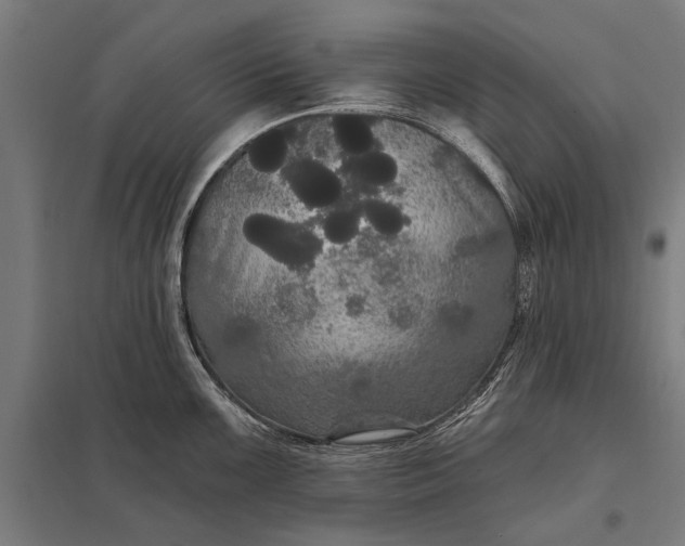 X0000097911099200803281357