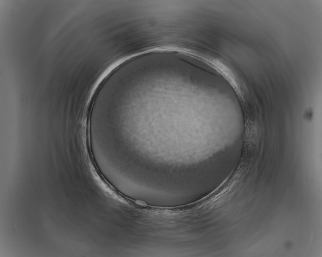 X0000097911100200803281356