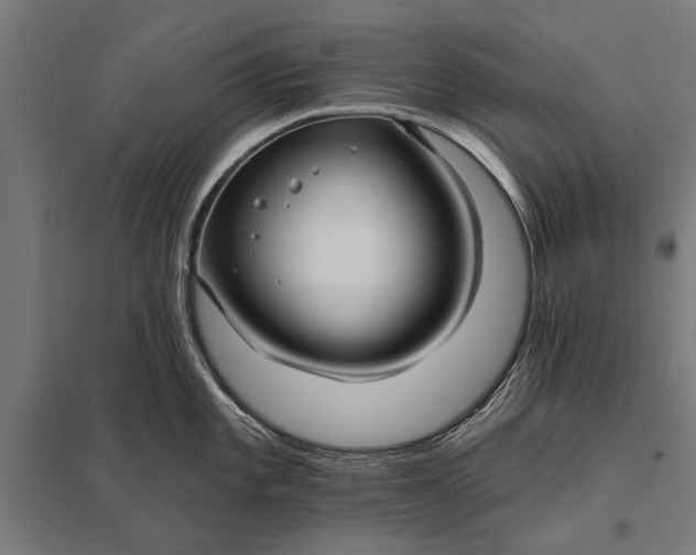 X0000097911101200803281356