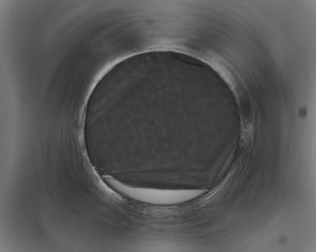 X0000097911102200803281356