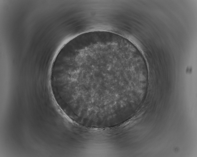 X0000097911104200803281356