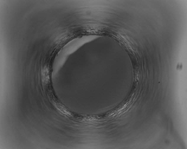 X0000097911106200803281356