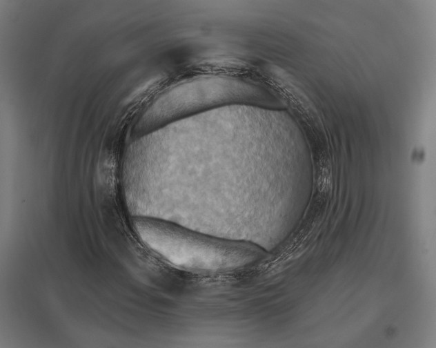 X0000097911108200803281356