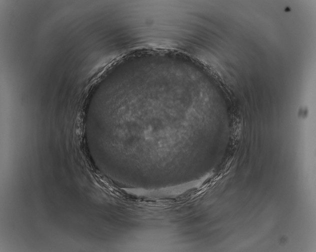 X0000097911110200803281356