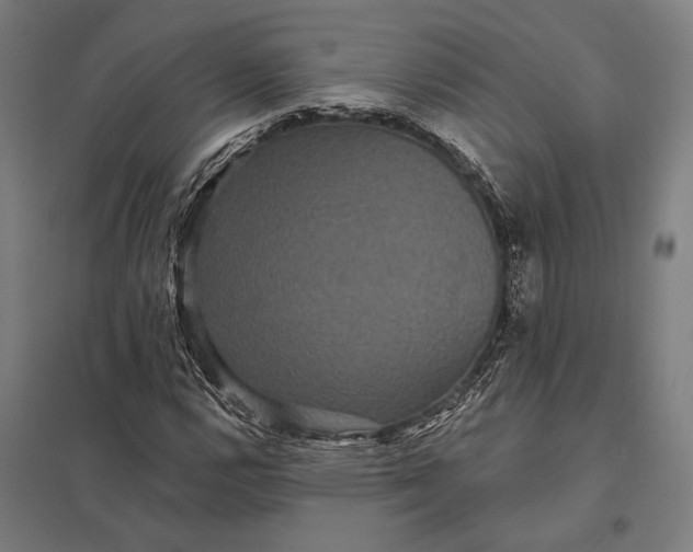 X0000097911112200803281356