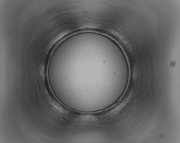 X0000097911113200803281356