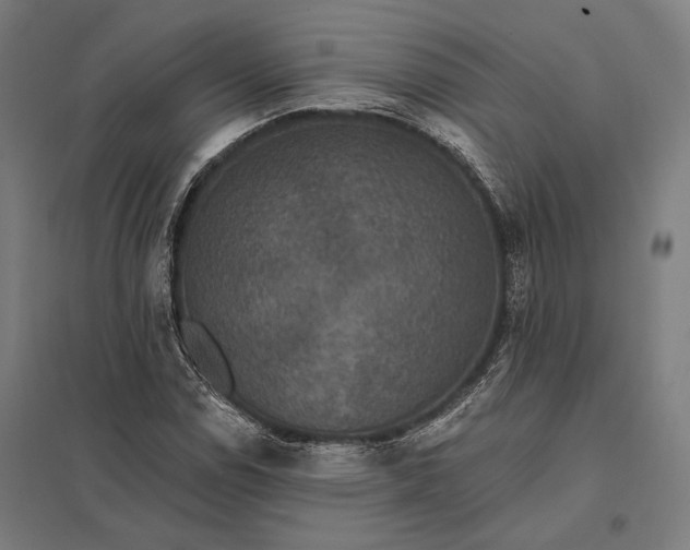 X0000097911114200803281356