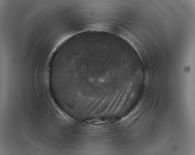 X0000097911115200803281356