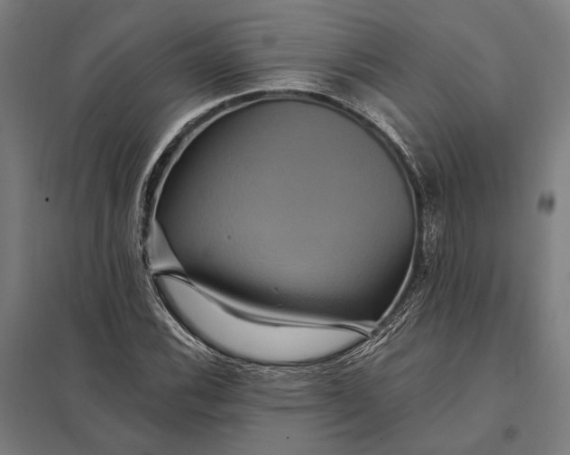 X0000097911116200803281356