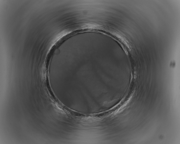 X0000097911117200803281356