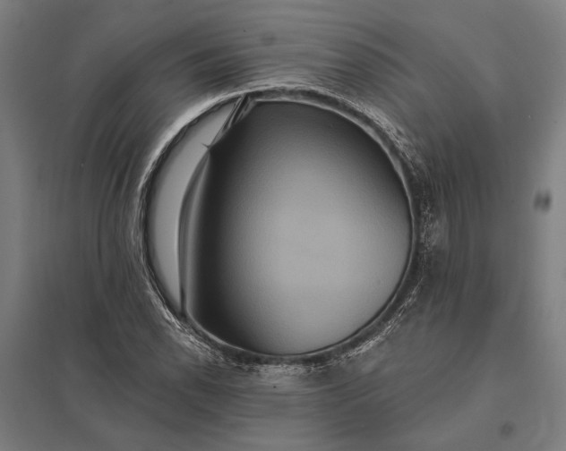 X0000097911118200803281356