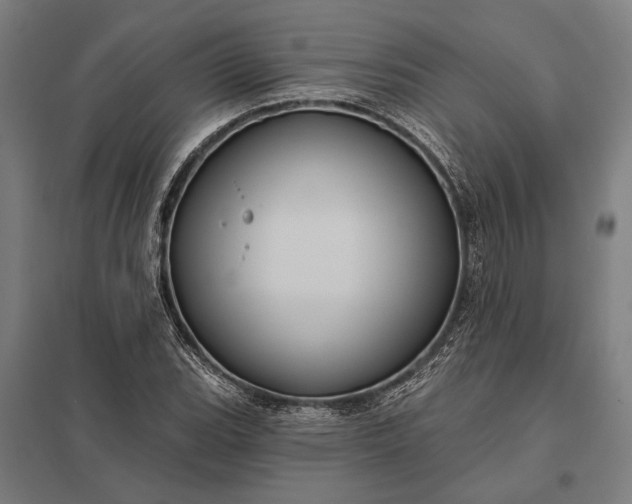 X0000097911119200803281356