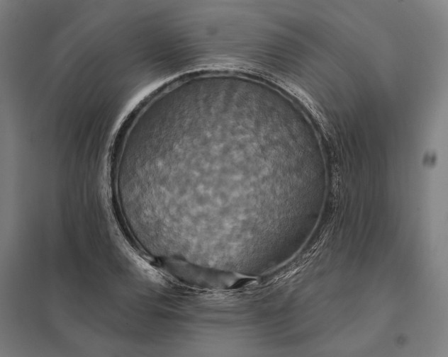 X0000097911120200803281356