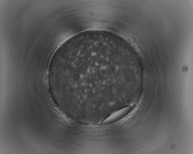 X0000097911121200803281356