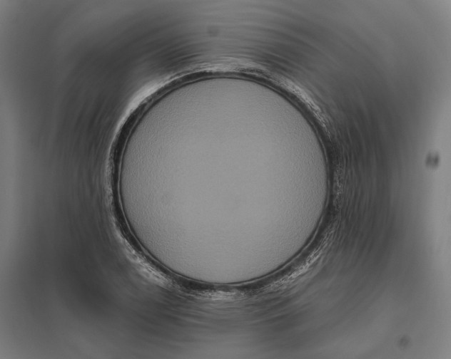 X0000097911122200803281356