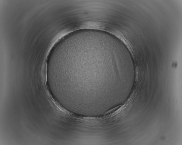 X0000097911123200803281356