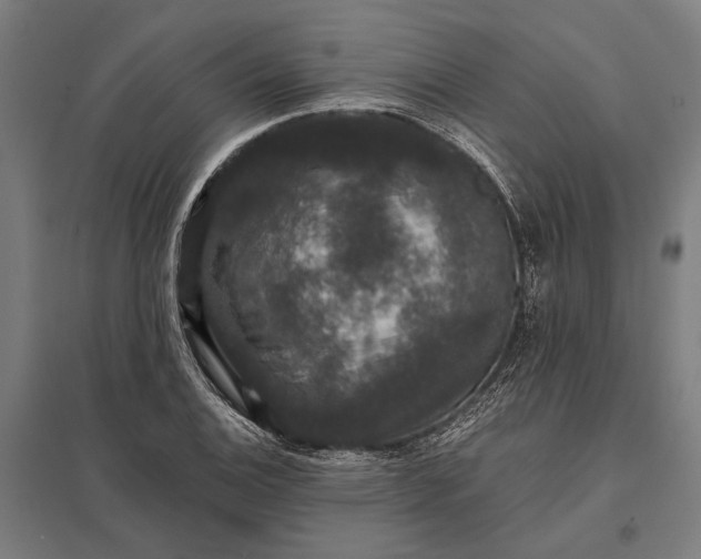 X0000097911124200803281356