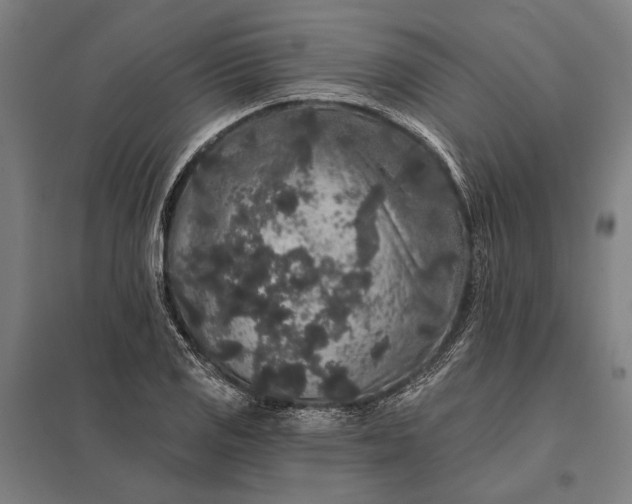 X0000097911125200803281356