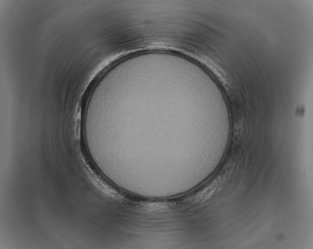 X0000097911126200803281356