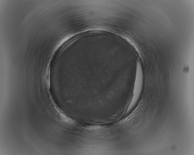 X0000097911127200803281356