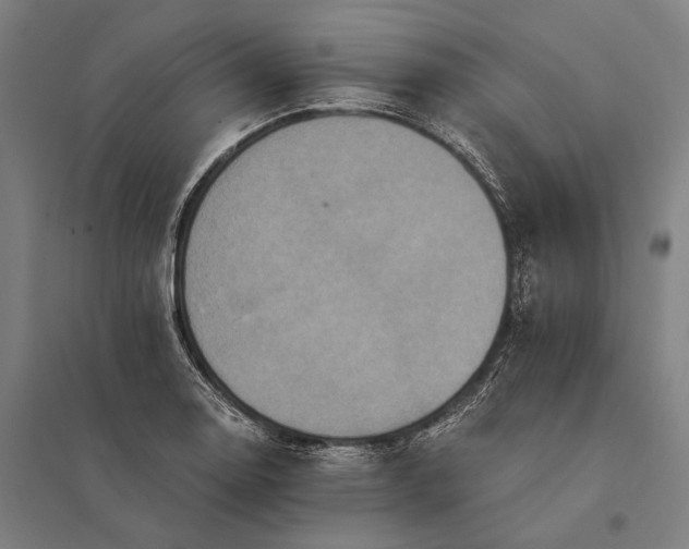 X0000097911130200803281356