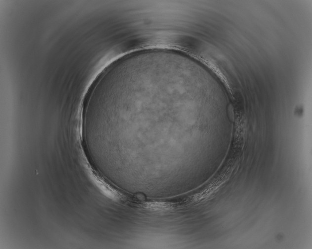 X0000097911132200803281356