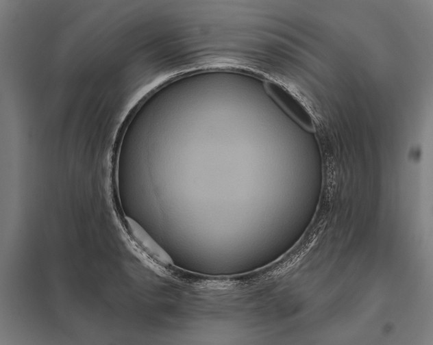 X0000097911134200803281356