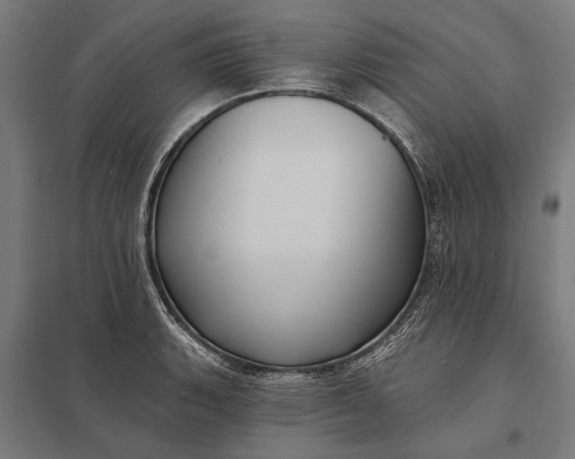 X0000097911135200803281356