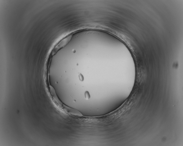 X0000097911136200803281356