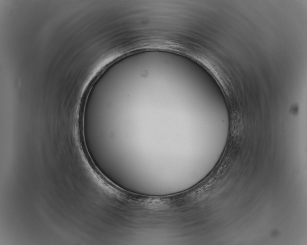 X0000097911139200803281356