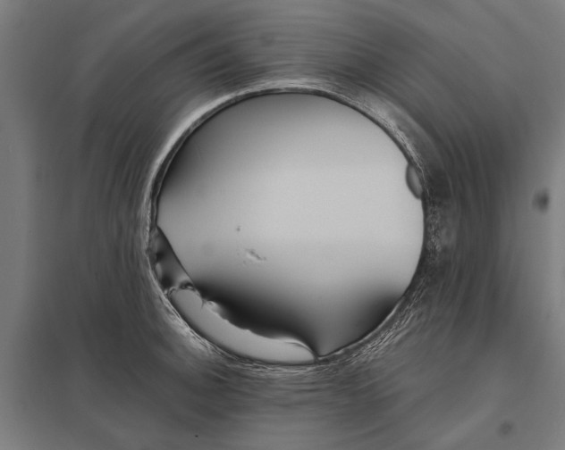 X0000097911140200803281356