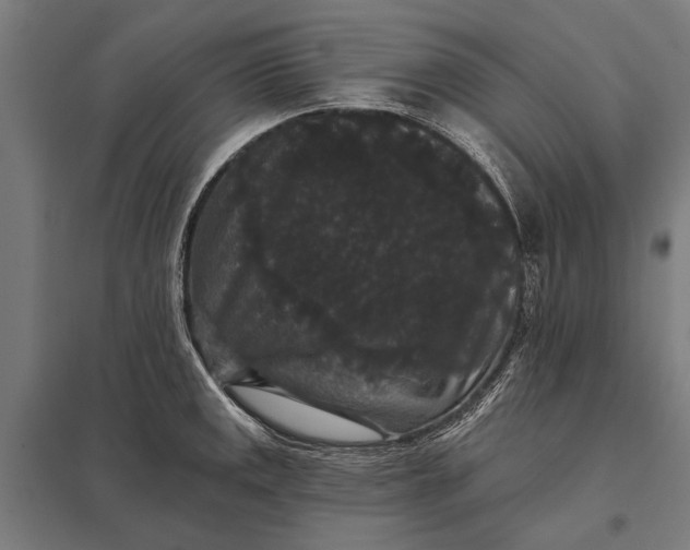 X0000097911141200803281356