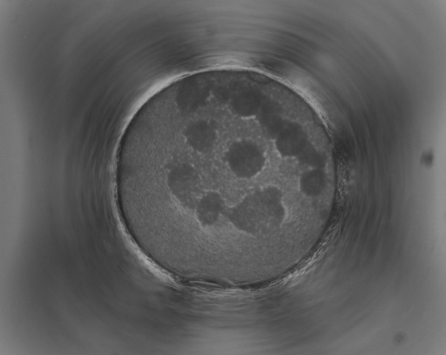 X0000097911142200803281356