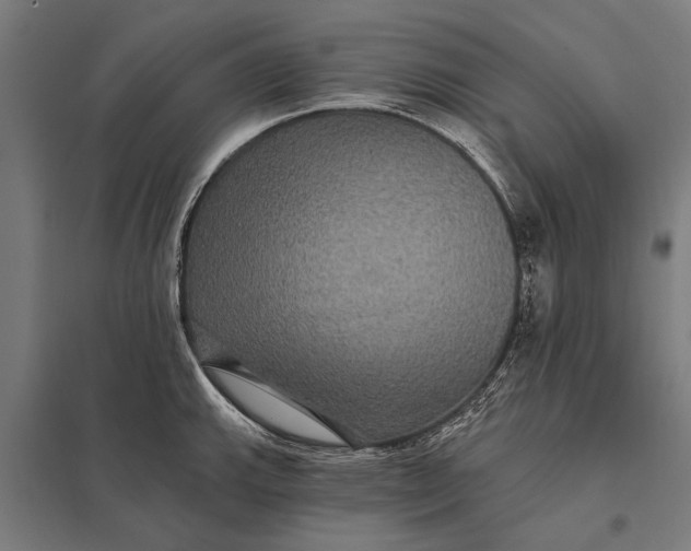 X0000097911143200803281356