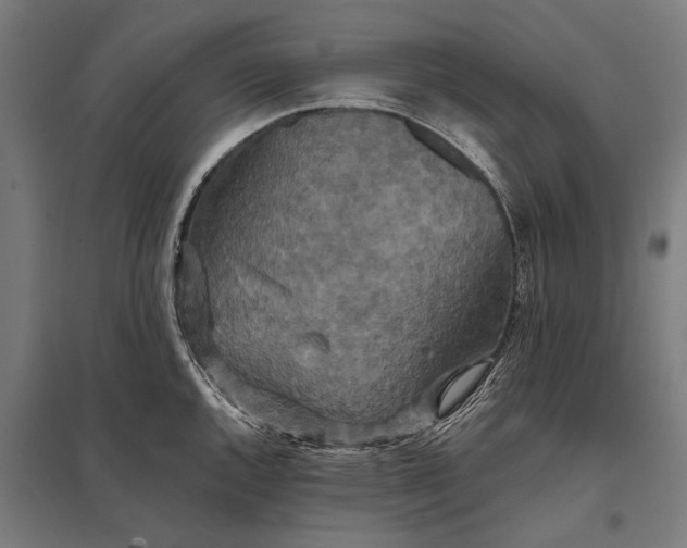 X0000097911144200803281356