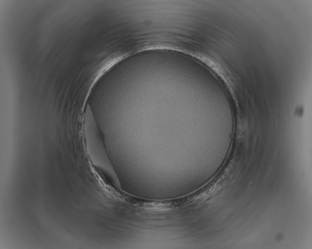 X0000097911145200803281356