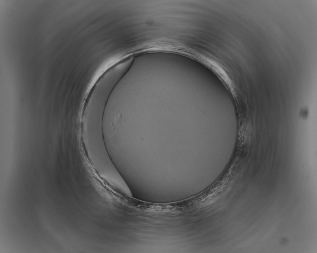 X0000097911146200803281356