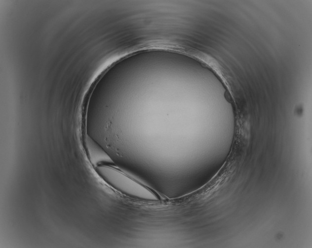 X0000097911147200803281356