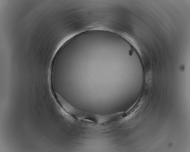 X0000097911149200803281356