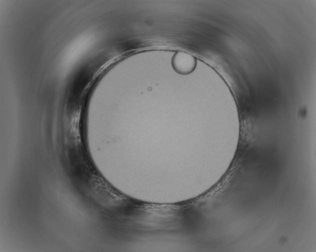 X0000097911150200803281356