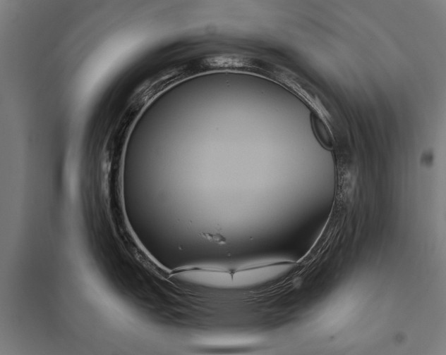 X0000097911151200803281356