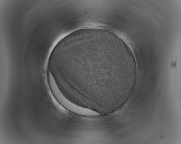 X0000097911152200803281356