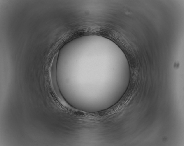 X0000097911153200803281356