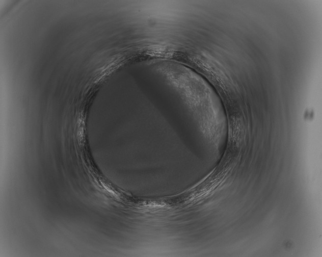 X0000097911154200803281356