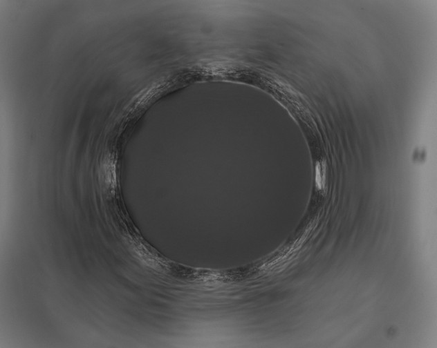 X0000097911155200803281356