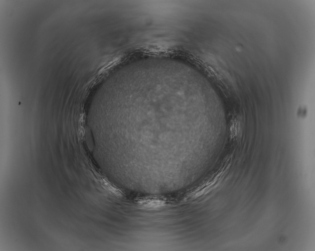 X0000097911156200803281356