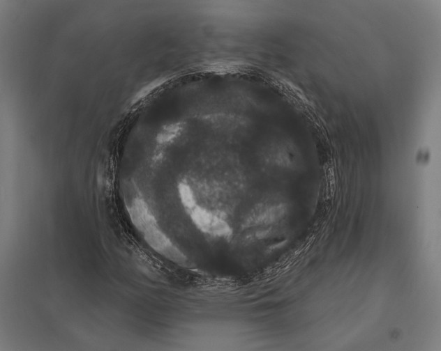 X0000097911158200803281356