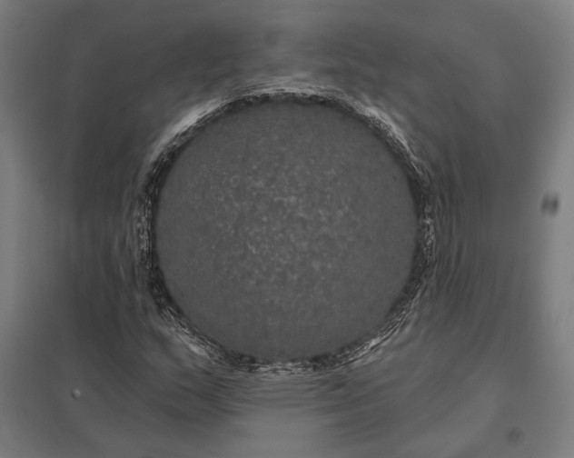 X0000097911159200803281356